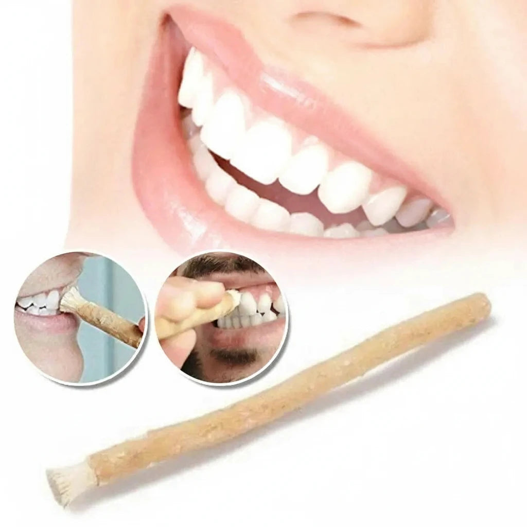 Siwak Naturel – Miswak Traditionnel Sunnah Pour Hygiène Dentaire